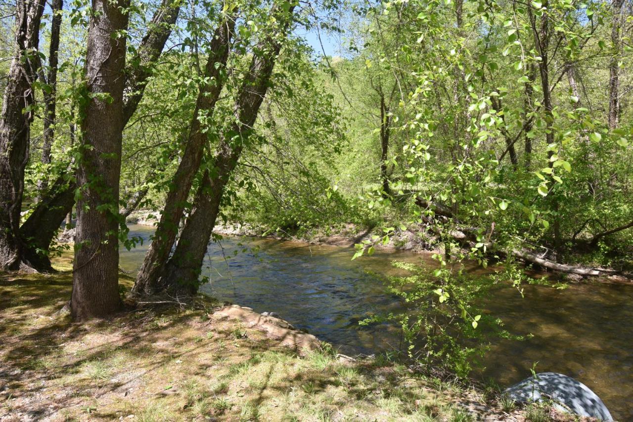 הלן Riverside Trout Cottage מראה חיצוני תמונה